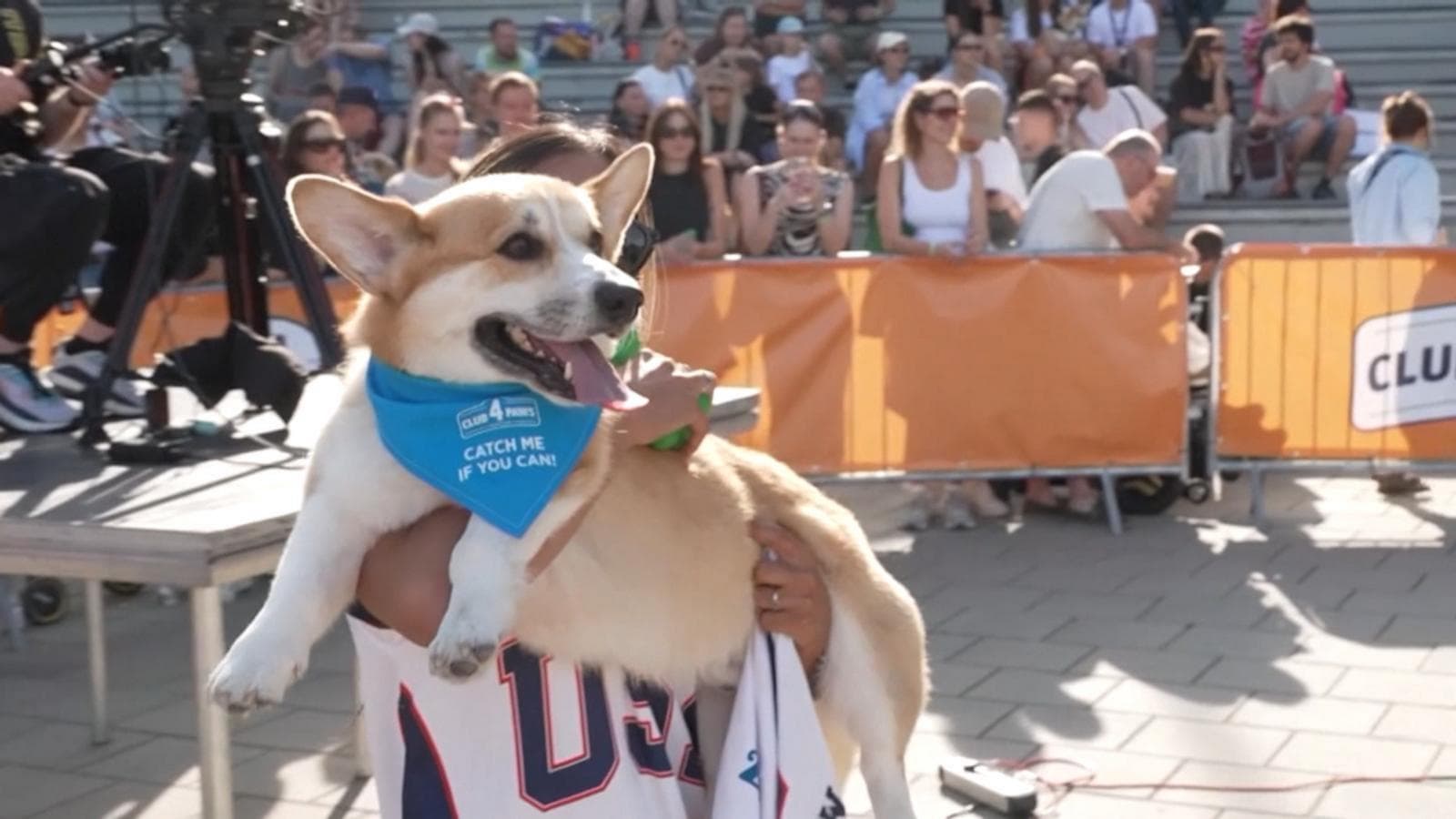 WATCH: 5th international Corgi race held in Lithuania