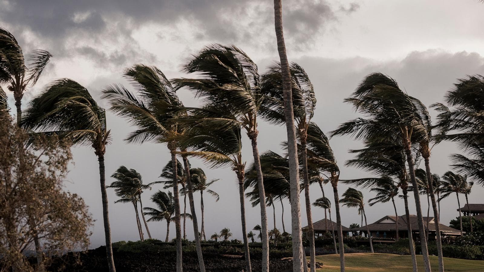 Lala becomes hurricane as it approaches Hawaii